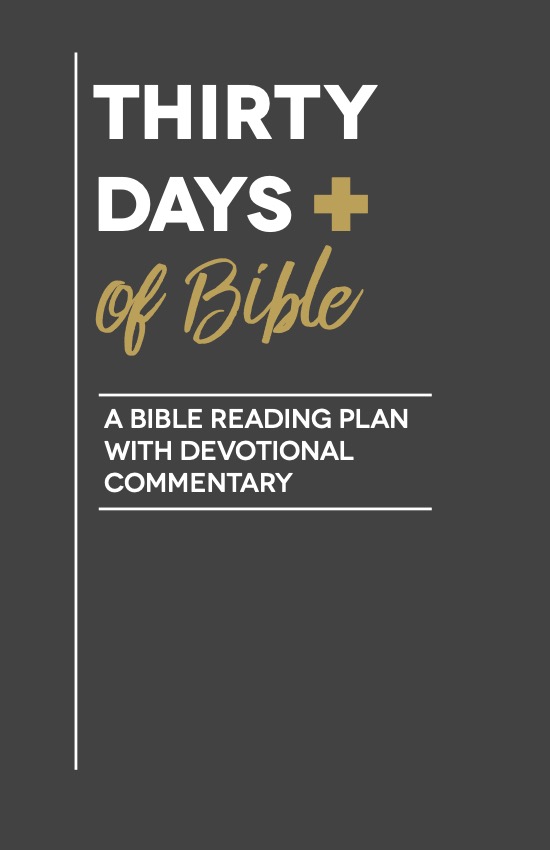 Links to Thirty Day Bible reading plan.
